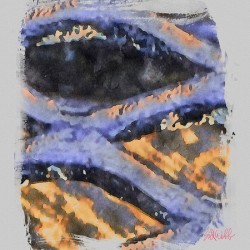 Blue Orange Layers