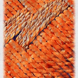 Orange Feather Flow