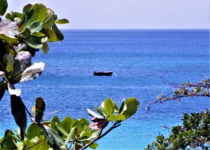 From Heaven's Shore...!