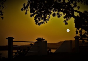 A Golden Evening