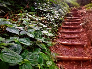 Stairs to heaven...!