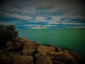 Mesmerizing Shores.