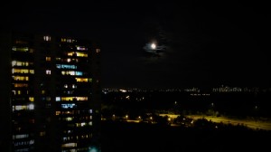 City Nights...!