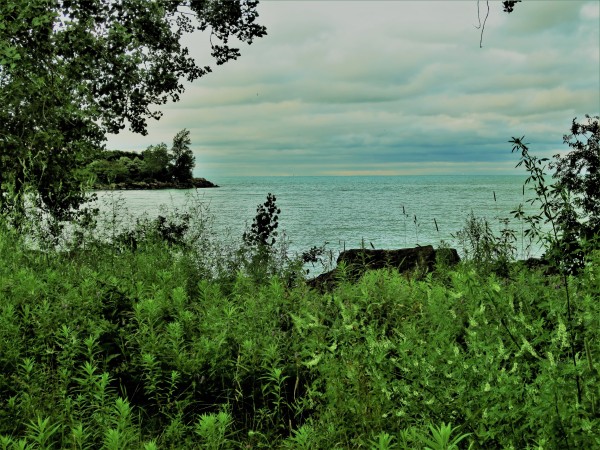 Serenity...! Print