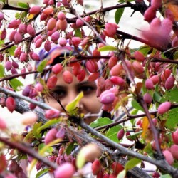 Look Beyond...!