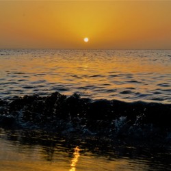 Waves, Dancing and Bouncing at Sunset.
