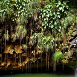 Falling Nature Captured...!