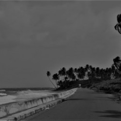 Reminisce...!