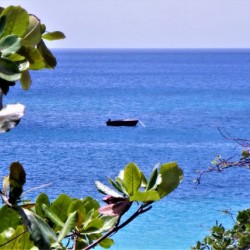 From Heaven's Shore...!