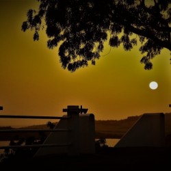 A Golden Evening