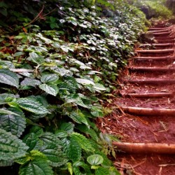 Stairs to heaven...!