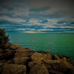 Mesmerizing Shores.