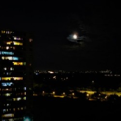 City Nights...!