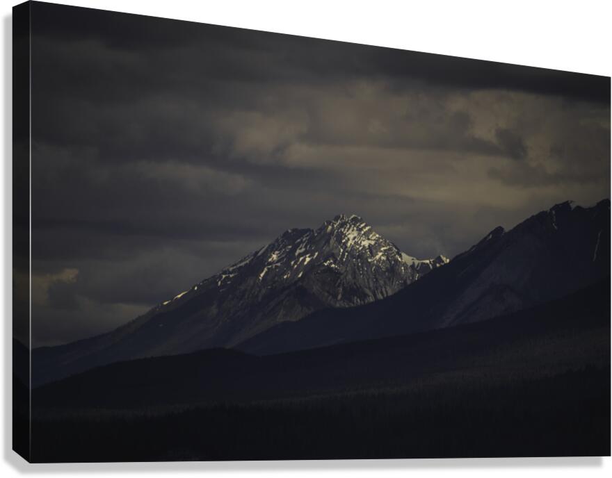 Flying high 1 Canvas Print