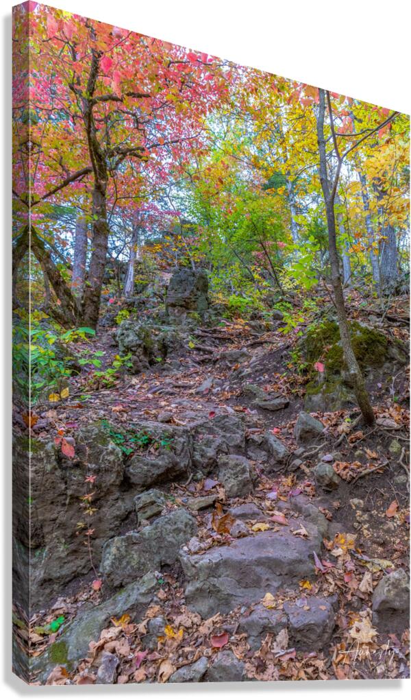 Path Up Canvas Print