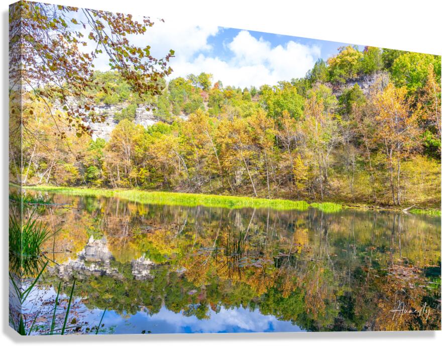 Mirror Reflection Canvas Print