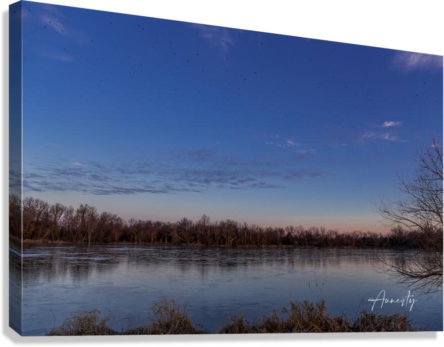 Last Light Canvas Print