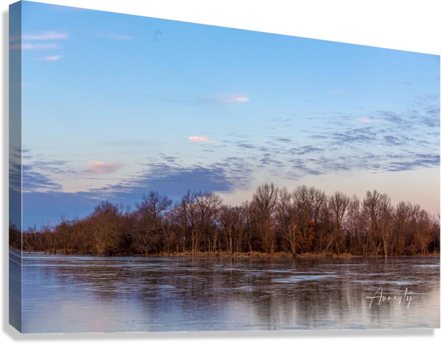 Winter Pastels Canvas Print