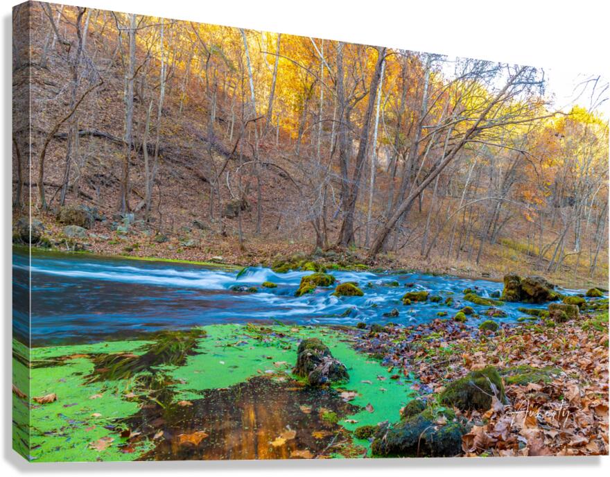 Flowing Stream Canvas Print