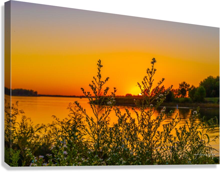 Twins Canvas Print
