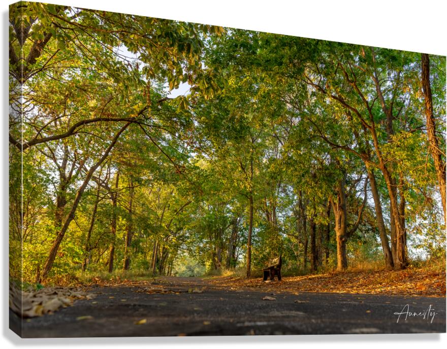 Stillness Canvas Print