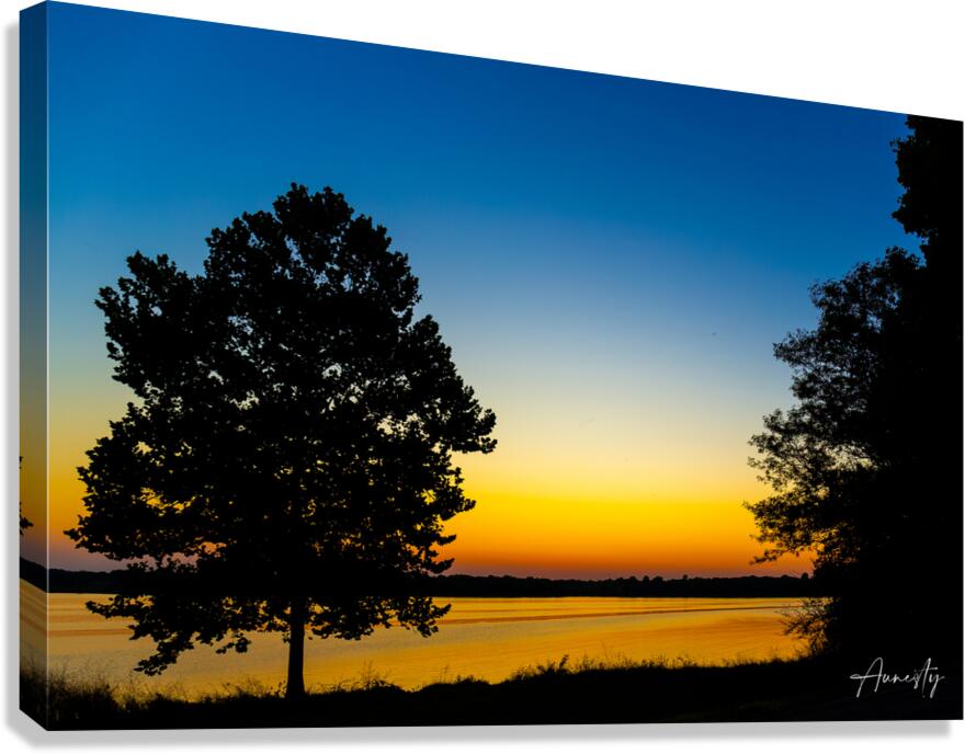 Twilight Canvas Print