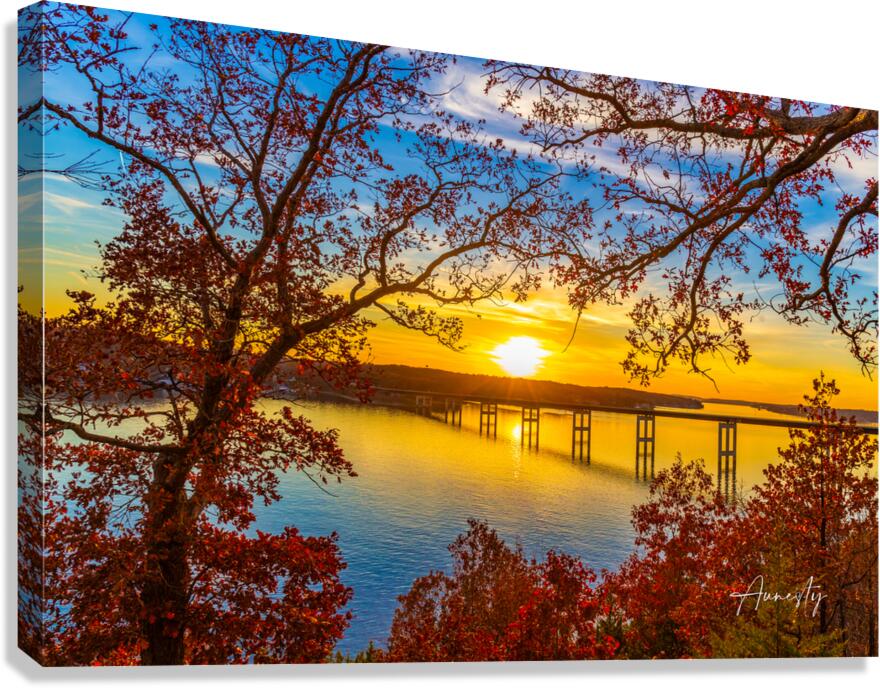 Through The Trees Canvas Print