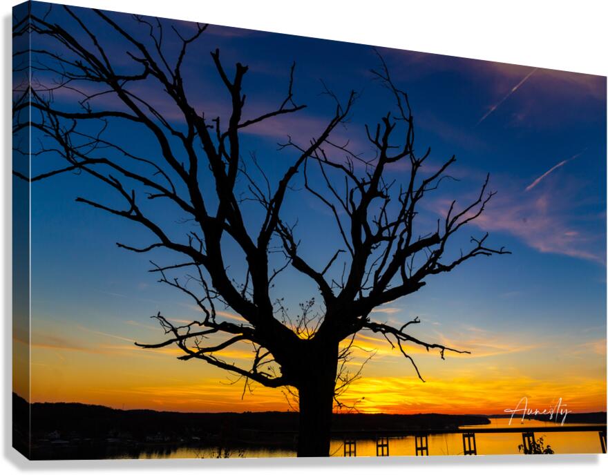 Solitude Canvas Print