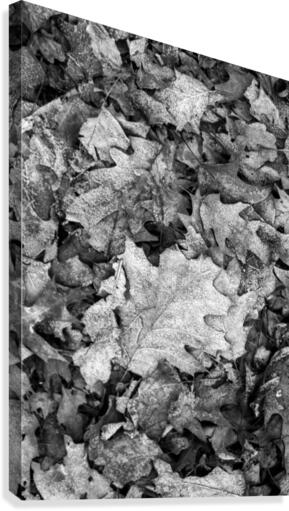 Under the tree Canvas Print