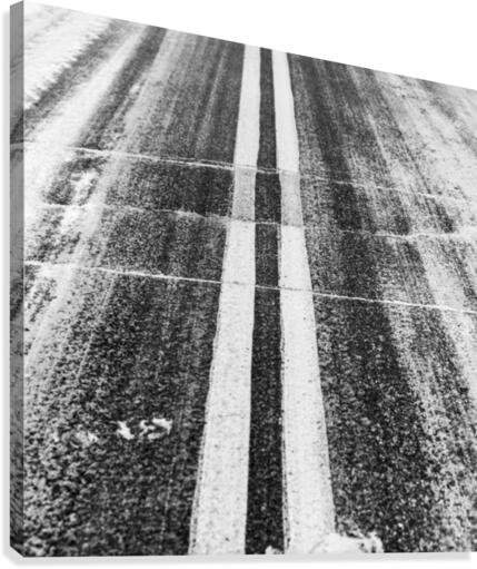 The Road Canvas Print