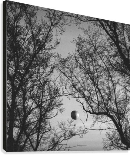The Balloon Canvas Print