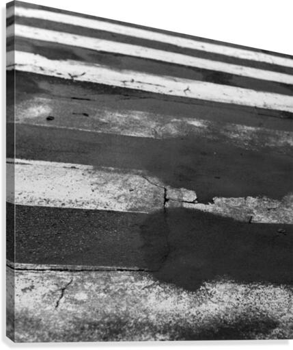 Crossing Canvas Print