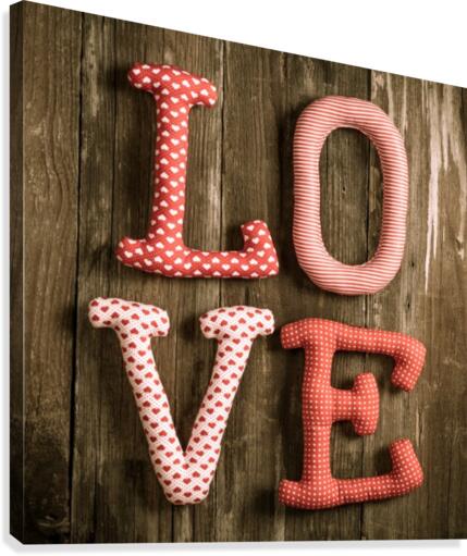 L. O.V.E Canvas Print