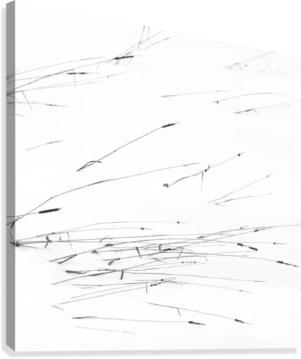 Drawings Canvas Print