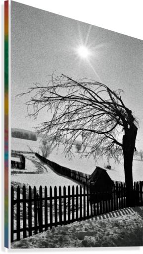 Fence, tree, well Canvas Print