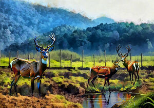 Bandung Deer 4k1