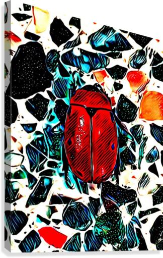 The Beetle Canvas Print