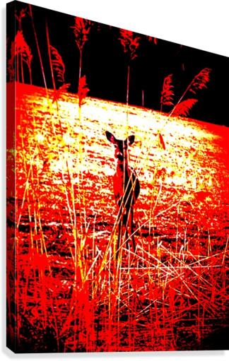 The Deer Canvas Print