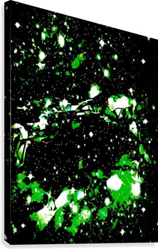 Emerald Canvas Print