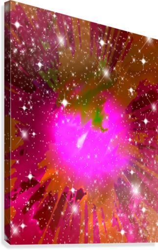 The Pink Wonder Canvas Print