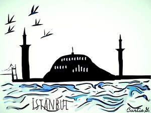 Istanbul during the Day