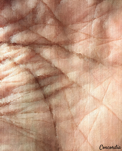 Palmistry 0