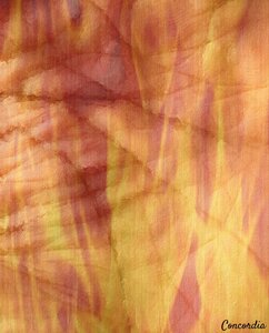 Palmistry 3