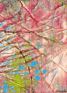 Palmistry 5