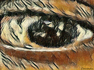 The Eye 4