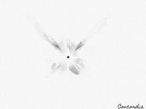 The Light