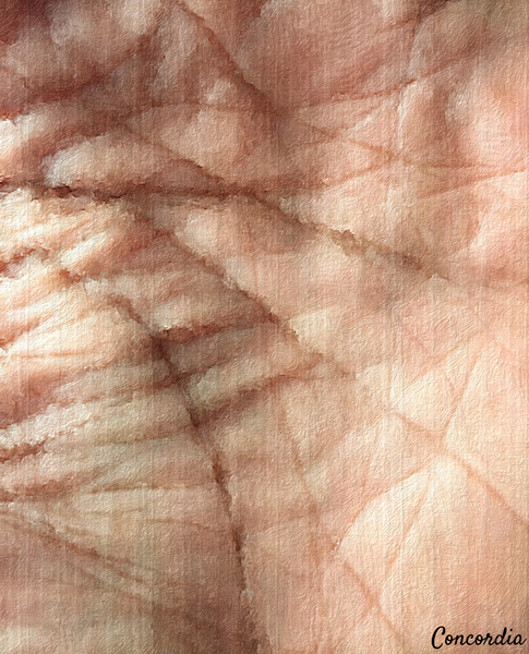 Palmistry 0 Print