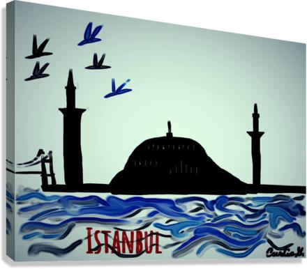 Istanbul in the Evening Canvas Print