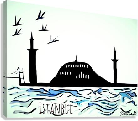 Istanbul during the Day Canvas Print