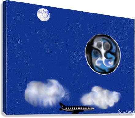 Night Flight Canvas Print